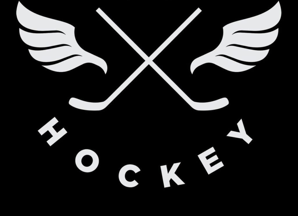 Hockey Development Programs in Toronto | BEAST ATHLETICS