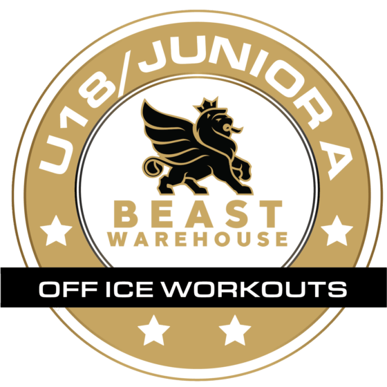 Office Workouts for U18/Junior A Hockey Players