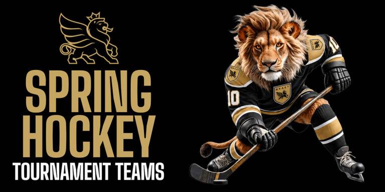 Spring Hockey tournament teams in Toronto